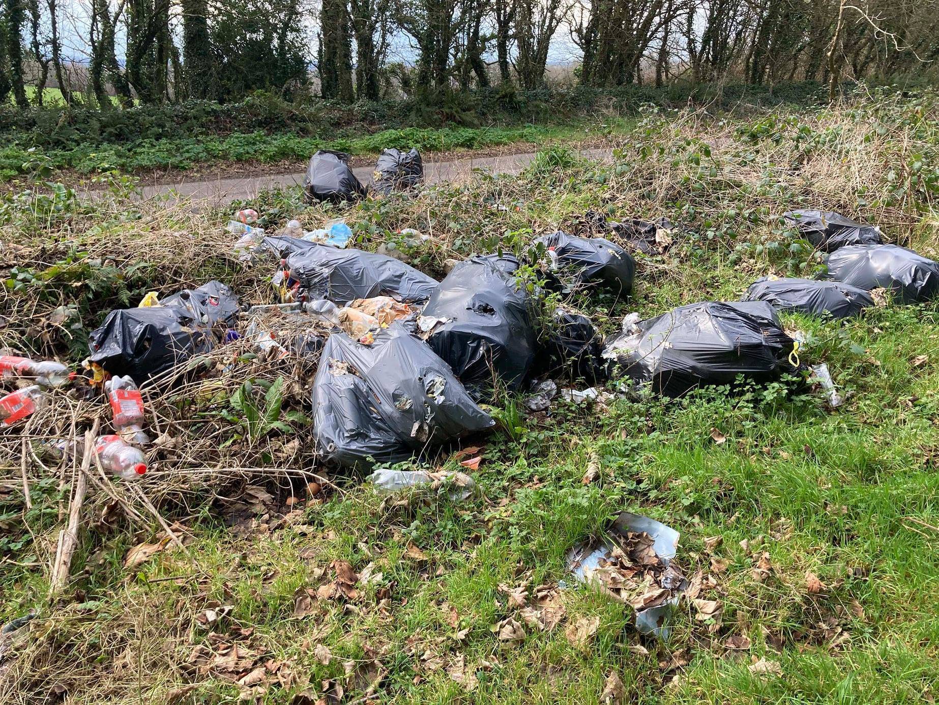 Illegal dumping was discovered in Ringaskiddy earlier this year. File Picture.