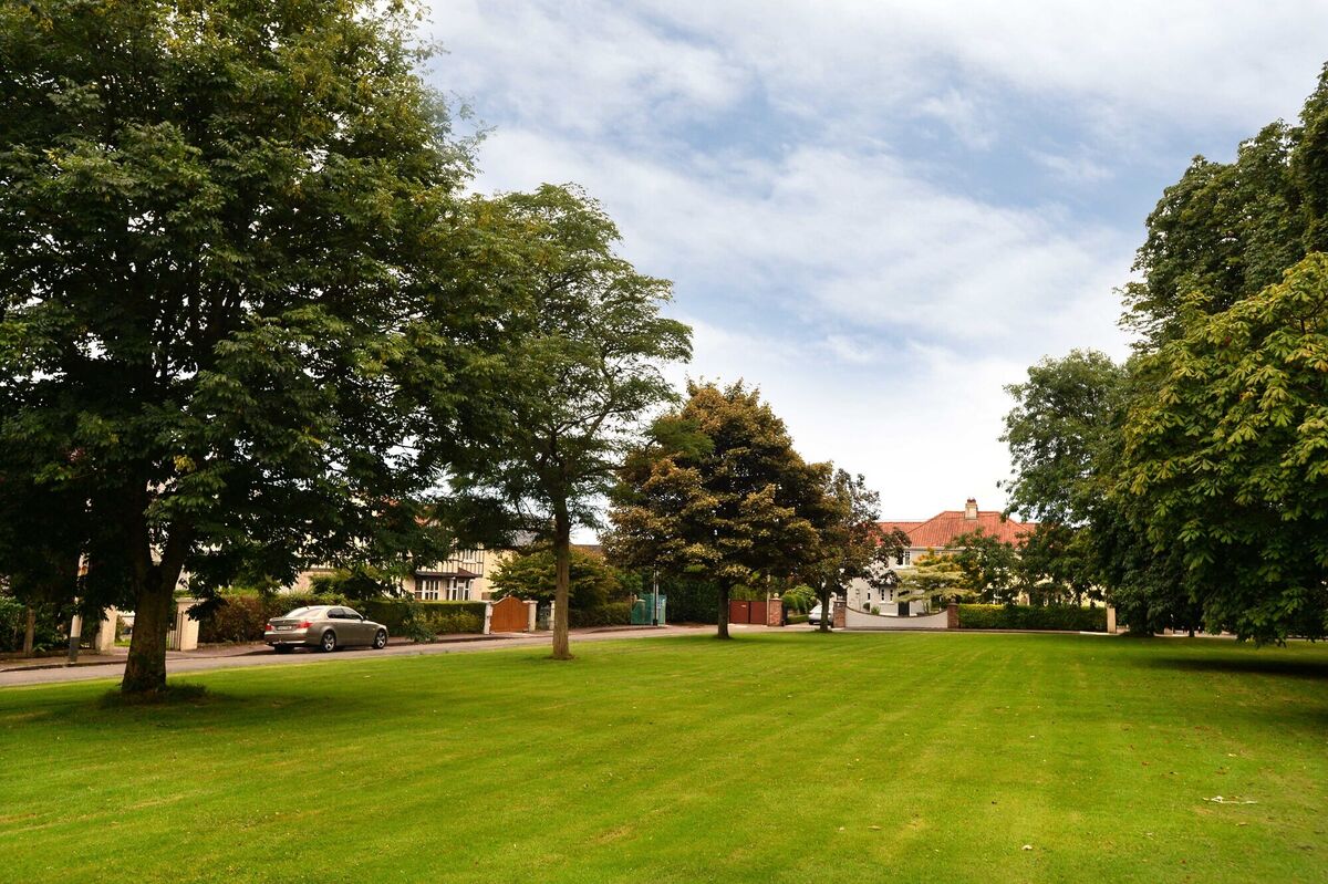 Green and spreading chestnut trees at Menloe Gardens, Blackrock Road, Cork. Green and spreading chestnut trees at Menloe Gardens, Blackrock Road, Cork.