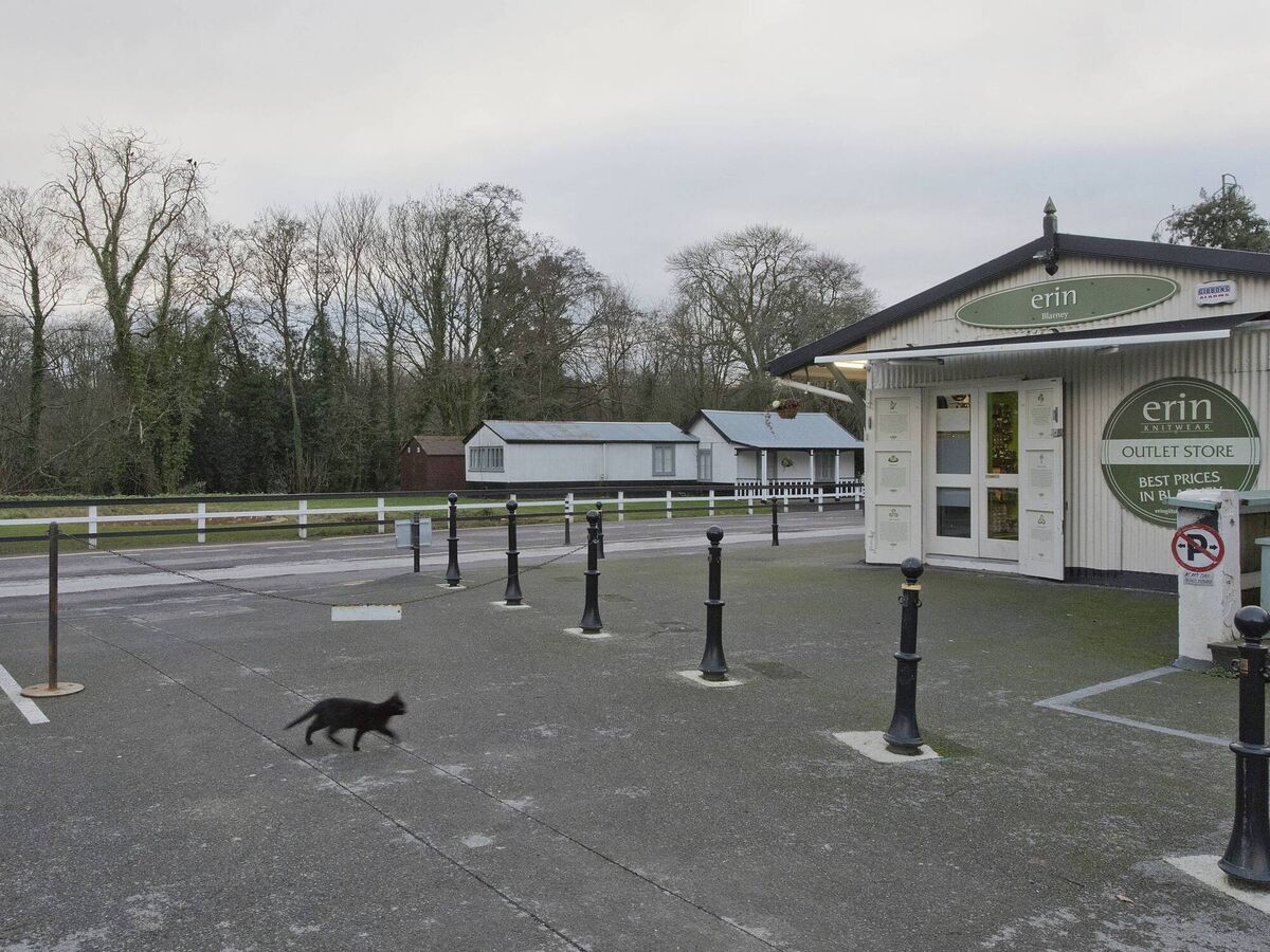 Dara McGrath 'Site Blarney'. Dara McGrath 'Site Blarney'.