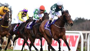 <p>Peal Appeal  has strong claims at Cork tonight   based on his winning return at Leopardstown.</p>