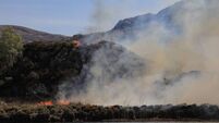 Irish Examiner view: New planting after Killarney National Park inferno