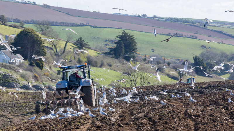 'Potential to enhance carbon sequestration without reducing grass productivity' 