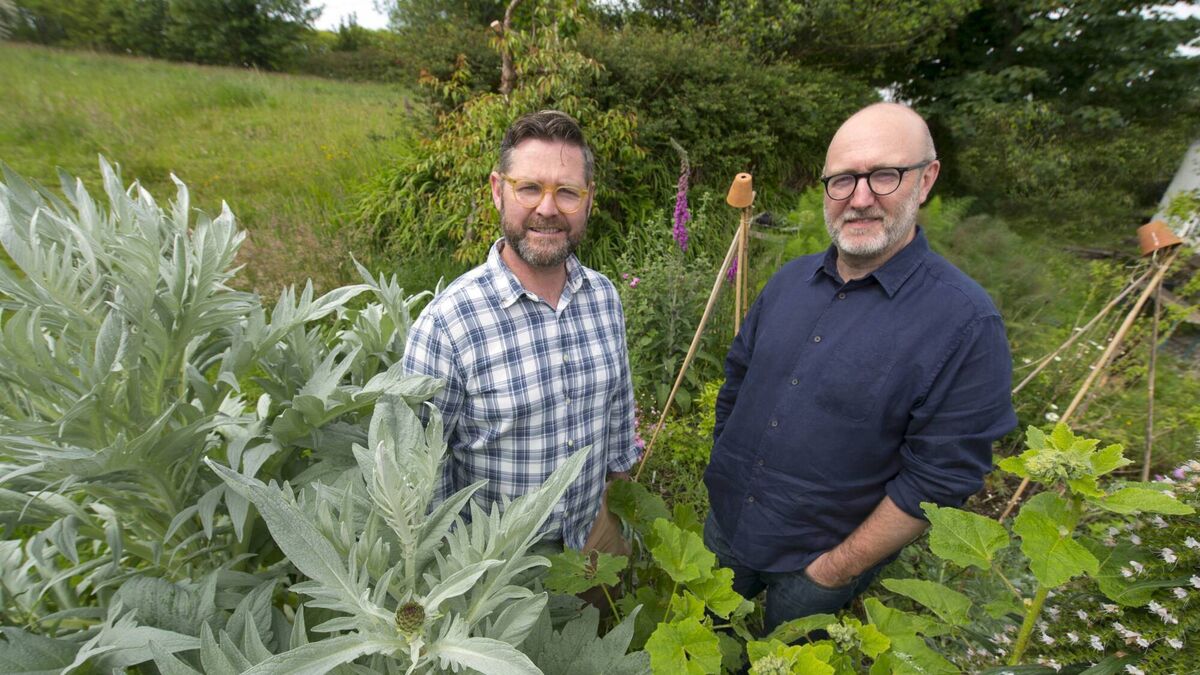 The green boom: How sustainability became big business for Irish brands - Vimarsana News