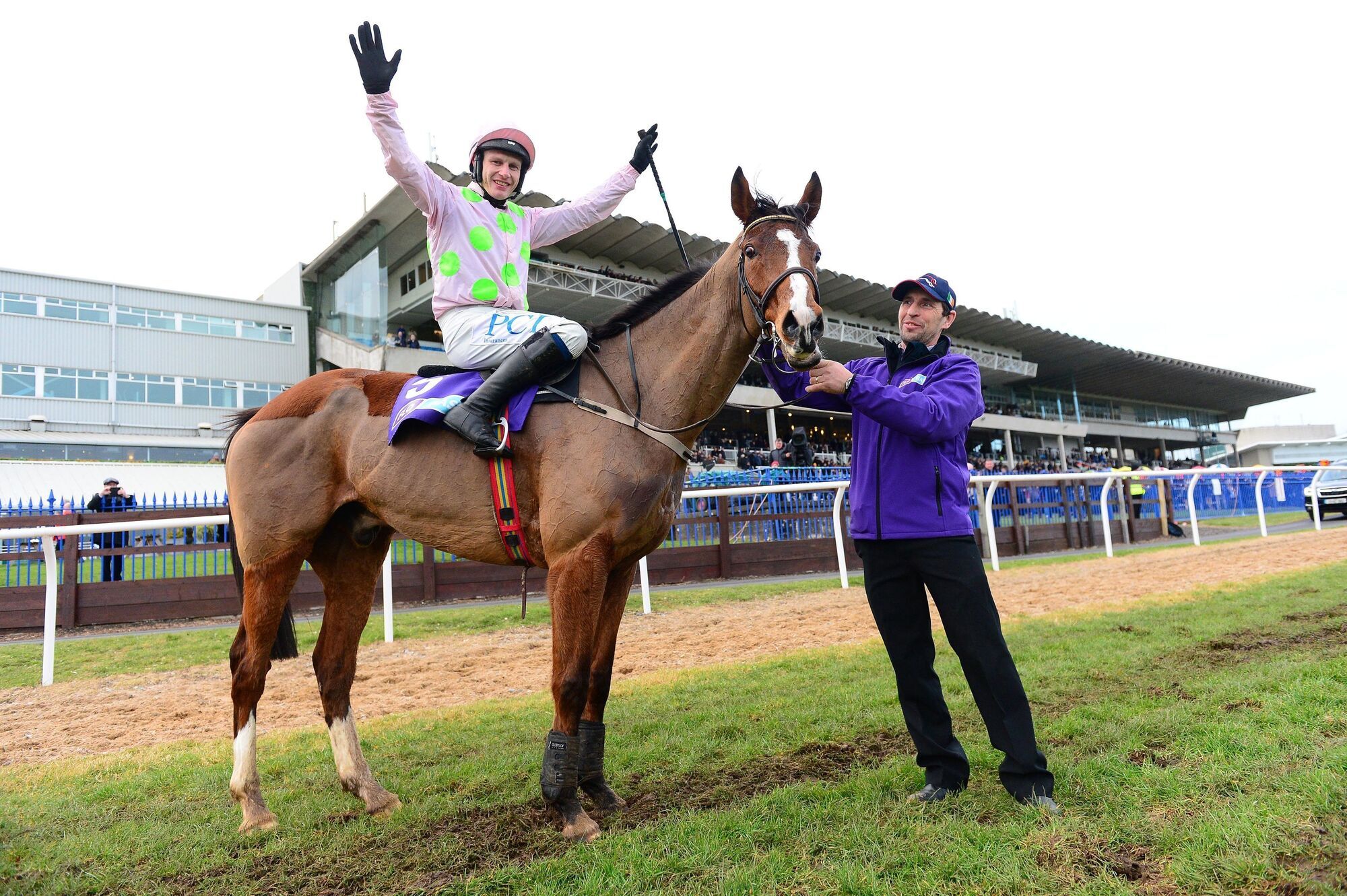 Willie Mullins trio Faugheen, Douvan, and Benie Des Dieux retired from racing