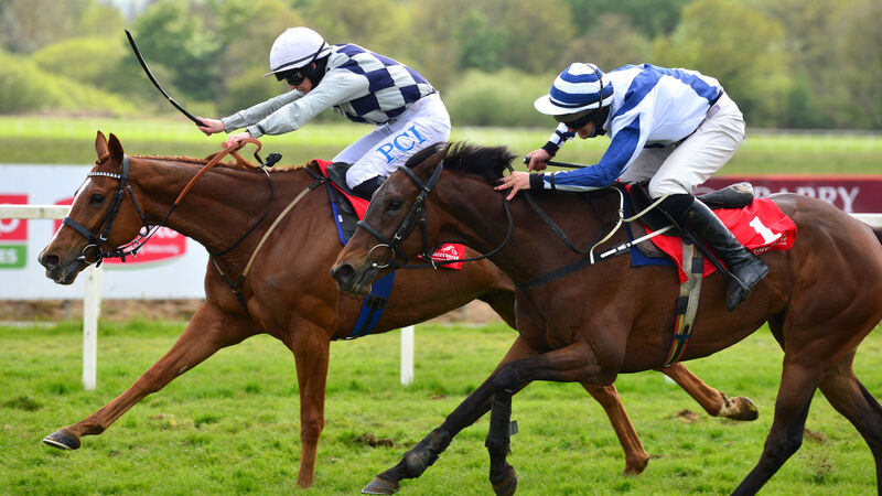 Rachael Blackmore and Call Me Freddie land Cork gamble after being backed in from 40-1 to 11-4