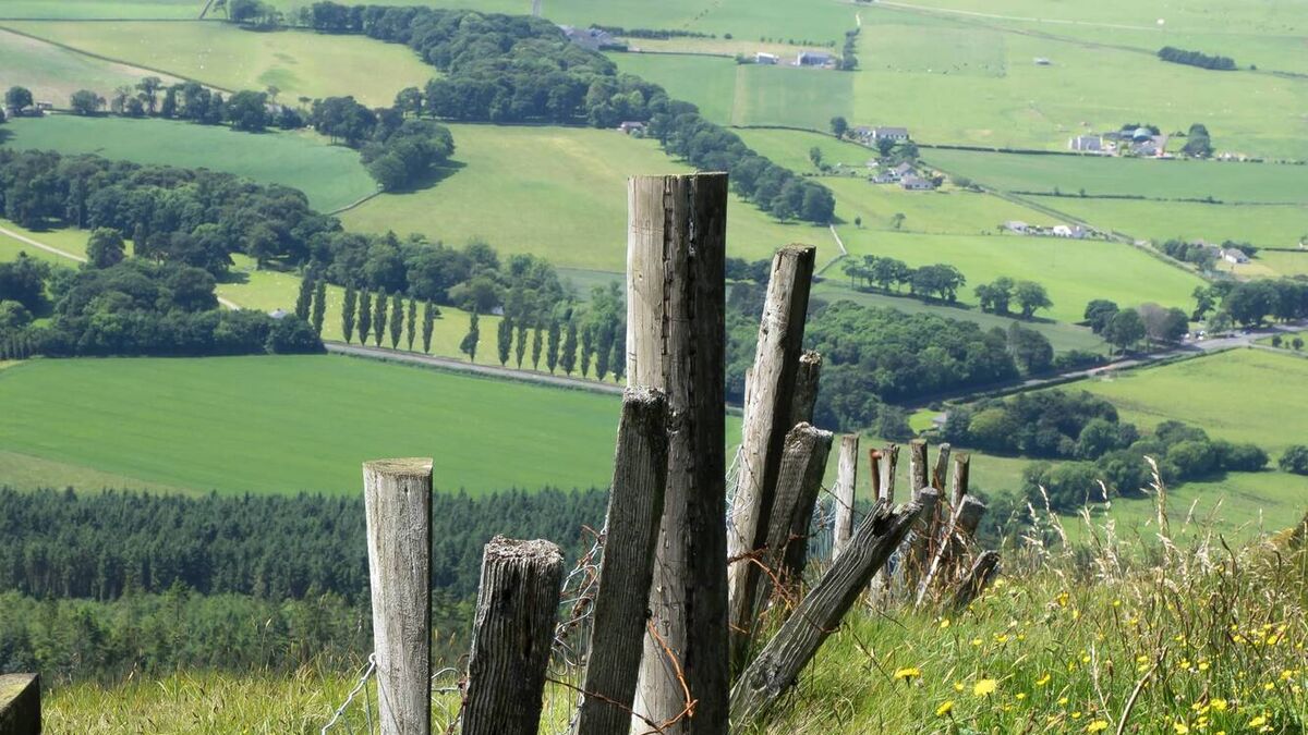 How the EU wants Ireland to use the CAP for move to sustainable farming - Vimarsana News