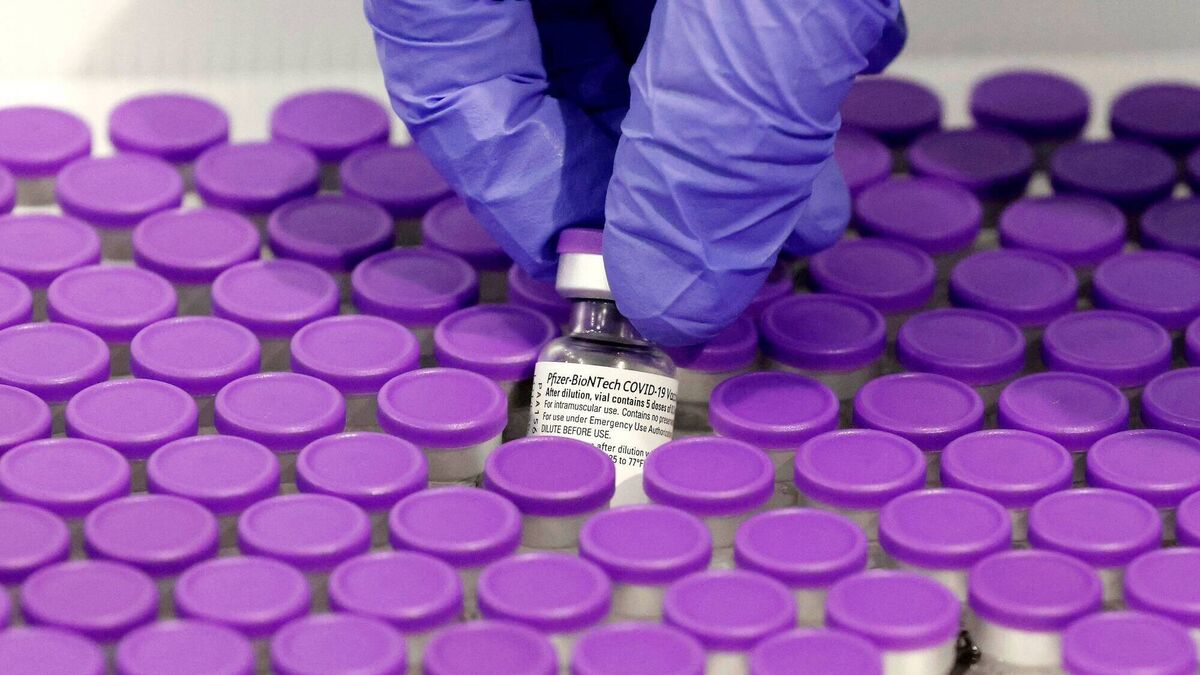 Covid vaccine scarcity largely artificial - countries and companies must share knowledge - Vimarsana News