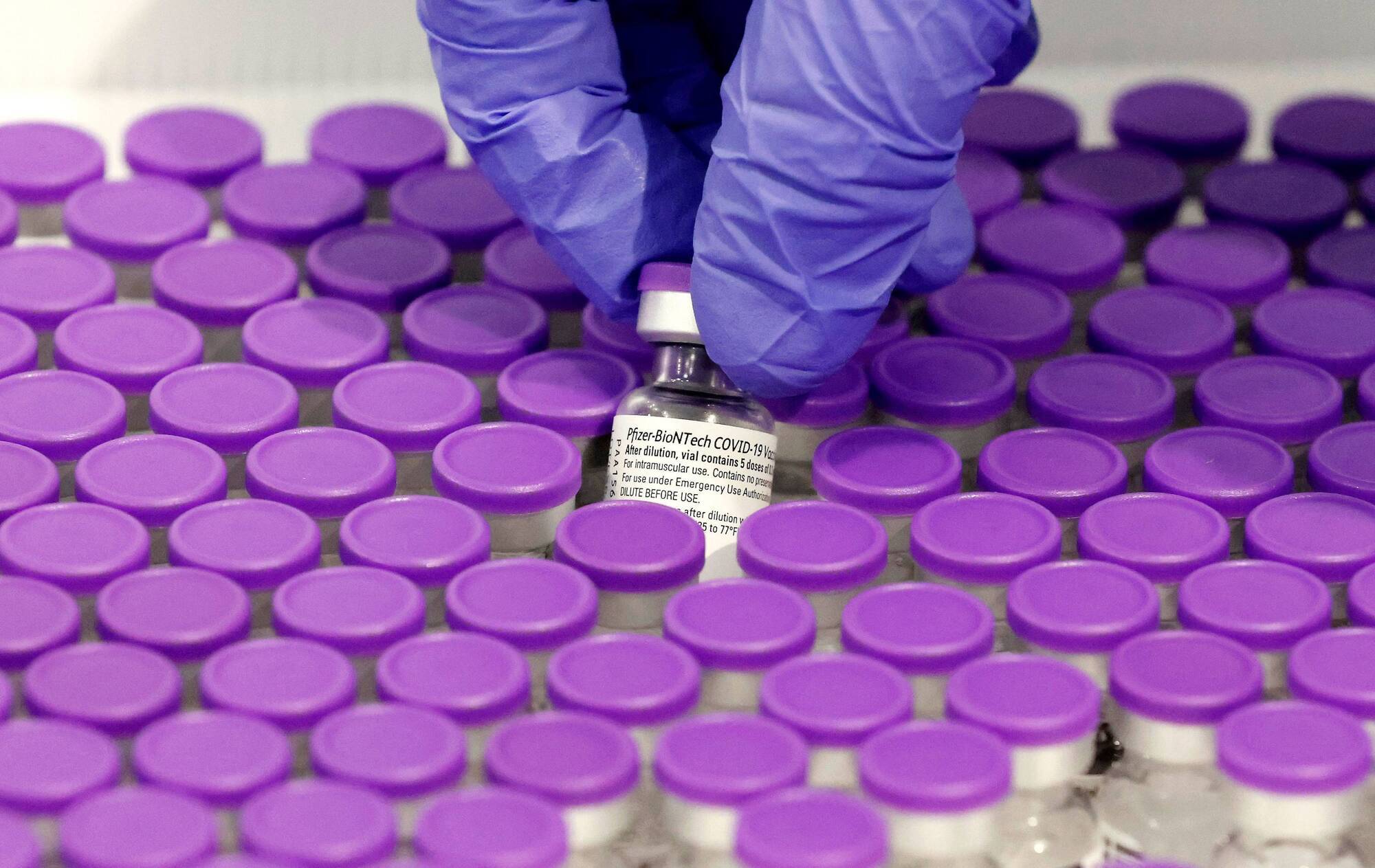 Covid vaccine scarcity largely artificial - countries and companies must share knowledge