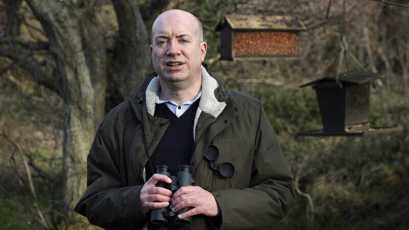  Niall Hatch, Birdwatch Ireland. 