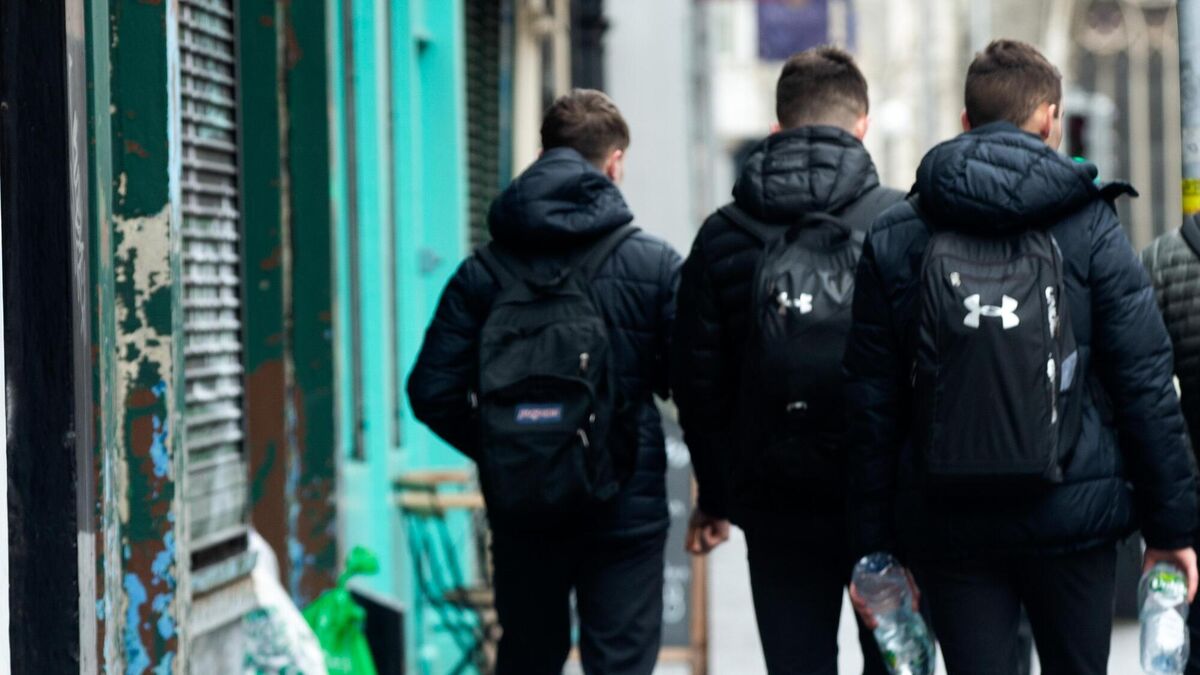 Health experts are urging the public to avoid unnecessary social mixing in the coming weeks to protect Leaving Cert students as they prepare for their exams.