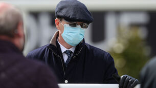 <p>Trainer Aidan O'Brien can take the opener at Dundalk with 580,000 guineas yearling Heart To Heart. Picture: Healy Racing</p>