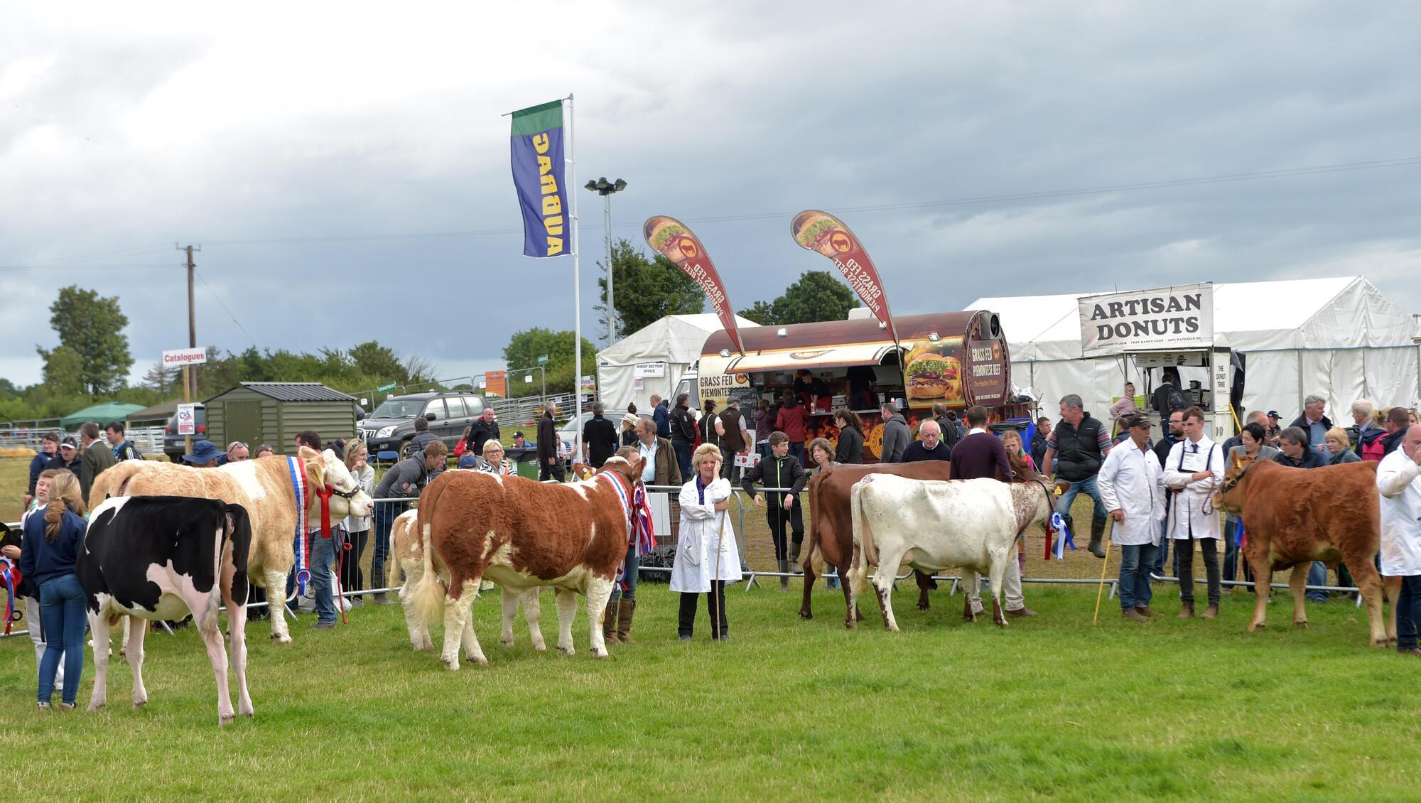 2021 Tullamore Show cancelled
