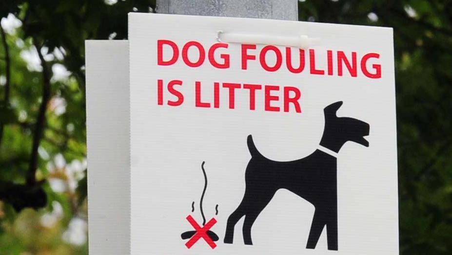 Doo diligence on dog fouling as covert poo patrol hits Cork streets