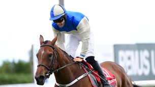 <p>Sheer Liss can get punters off to a flyer at Clonmel. Picture: Healy Racing</p>