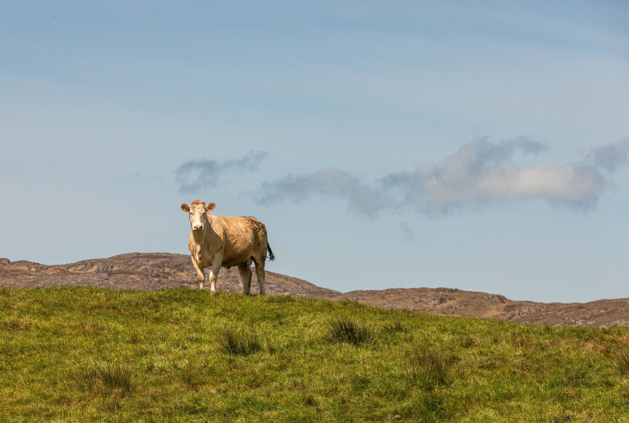 The Climate Action Bill is key to helping Ireland realise its national climate goals. Picture: David Creedon, Anzenberger.  