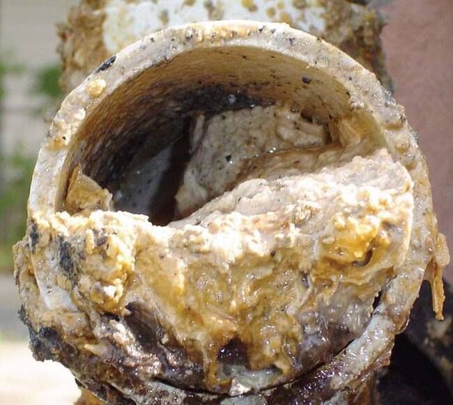 Fats, oils and greases (FOGs) evident in a wastewater drain. Pic: Irish Water.