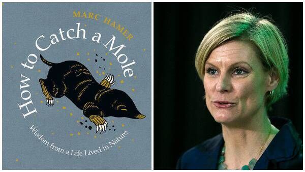  Pippa Hackett  was intrigued by How to Catch a Mole.