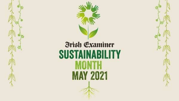 Sustainability Month . 