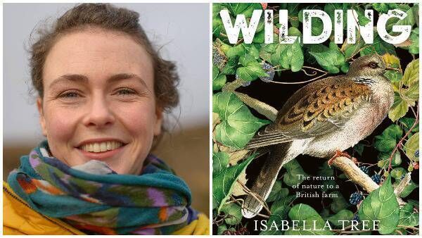 Saoirse McHugh enjoyed Wilding. 