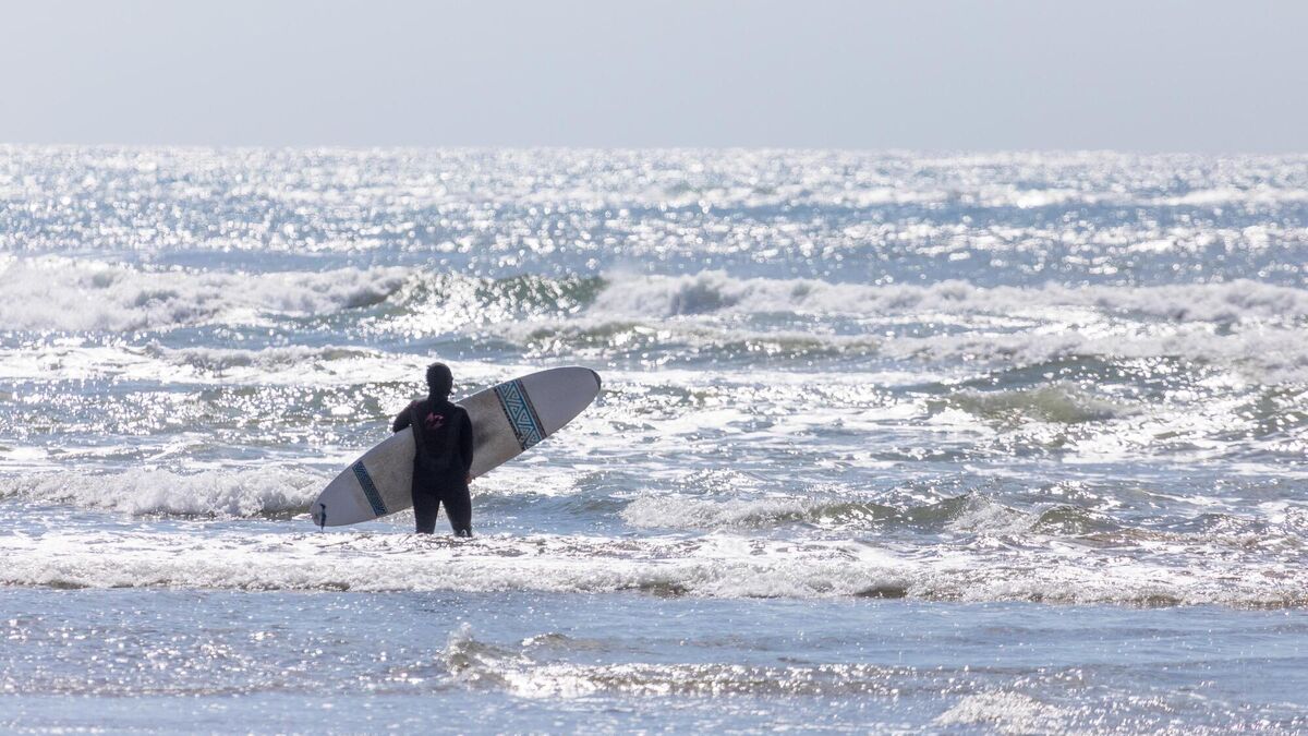 Summer heat delayed but less rainfall expected this season, finds major weather survey