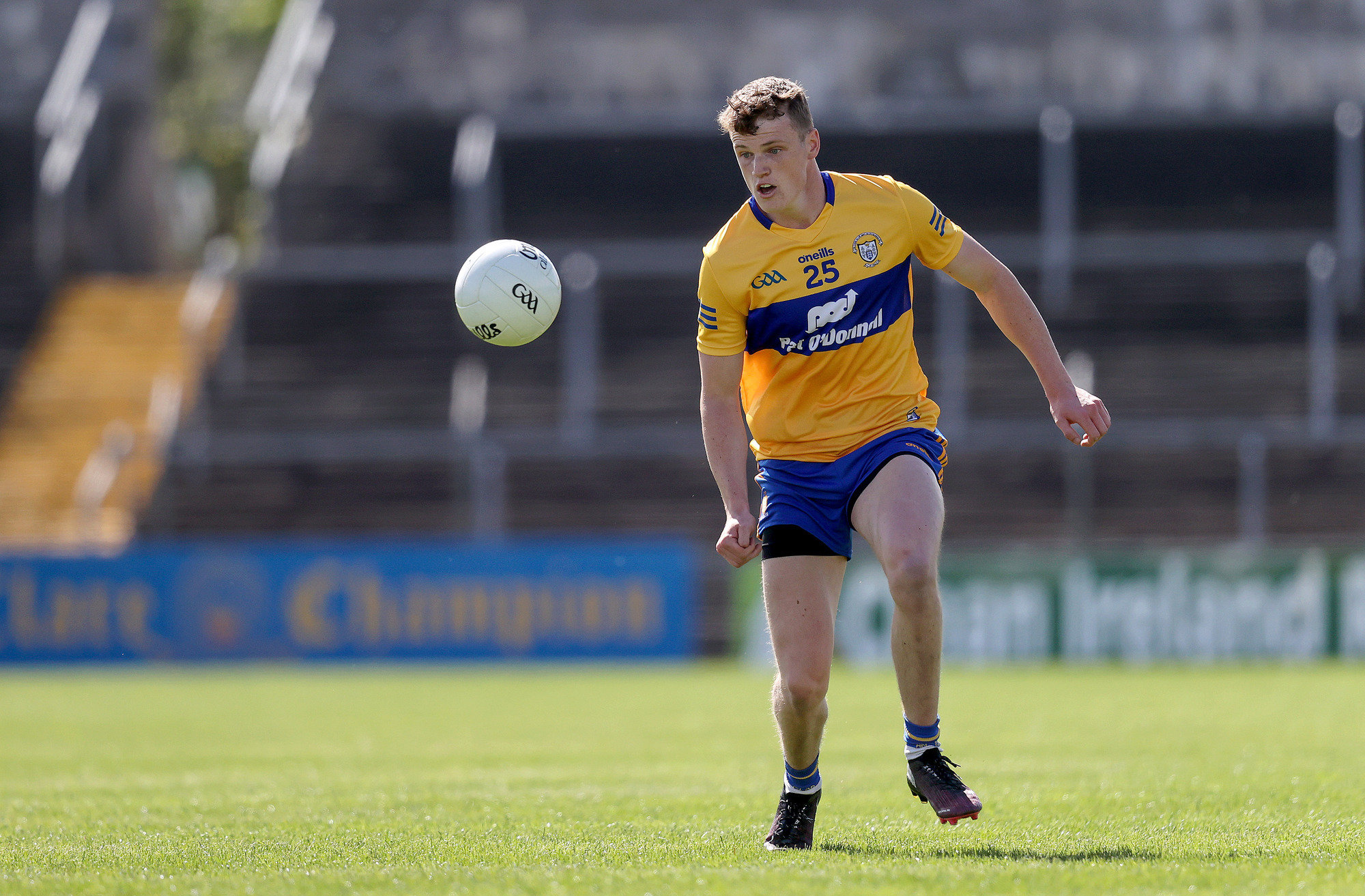 Daniel Walsh's debut goal sets Clare on course for victory over Laois