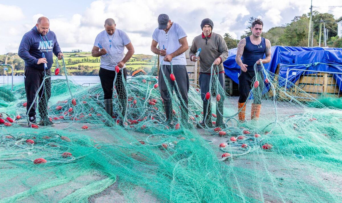 Fishermen mending their Gill Nets at Keelbeg Pier, Union Hall. Picture: Andrew Harris Fishermen mending their Gill Nets at Keelbeg Pier, Union Hall. Picture: Andrew Harris