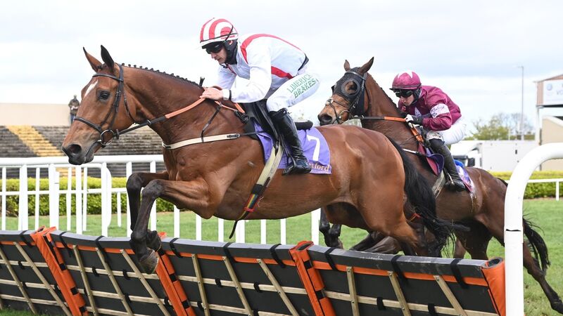 An Fraoch Mor’s battling qualities gain the day at Wexford