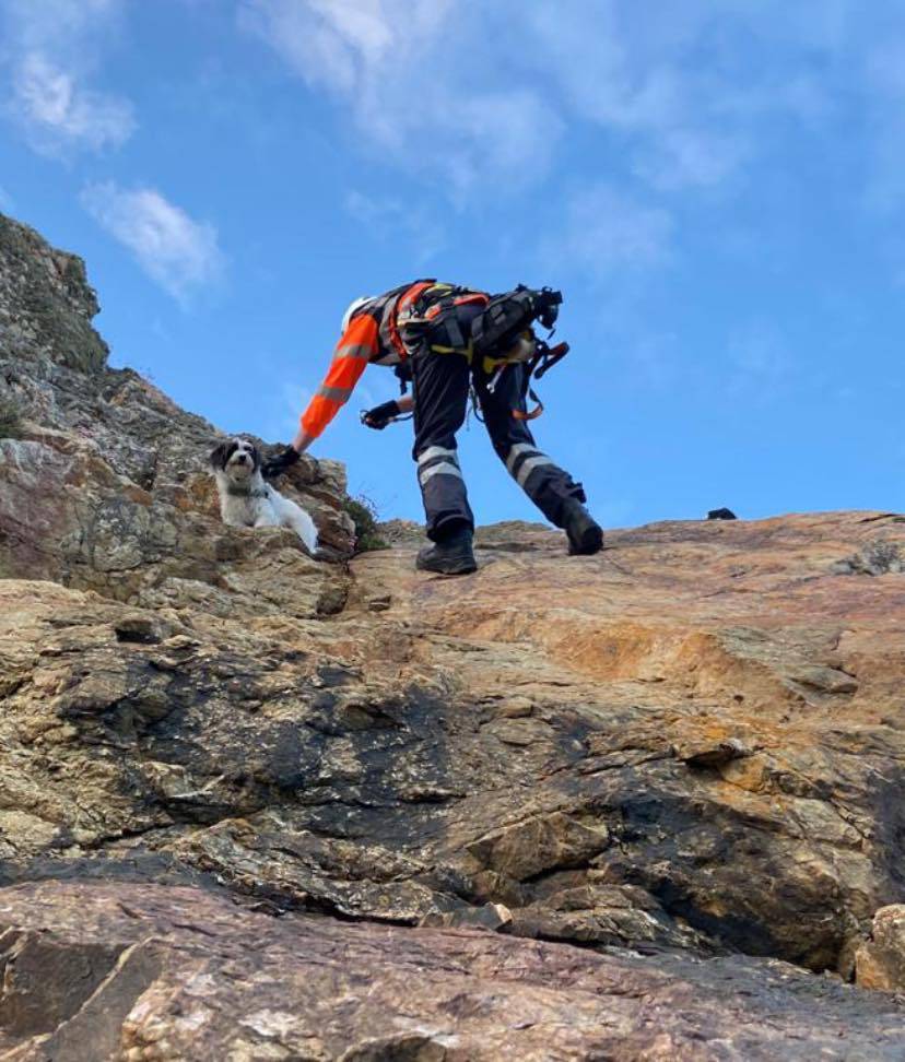Watch: Freddie the dog rescued from cliff face by Coast Guard