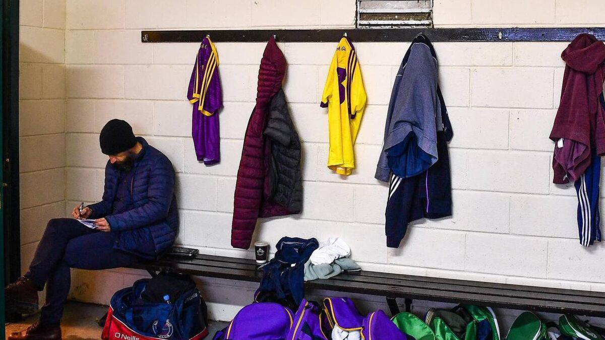 wexford basic backpack