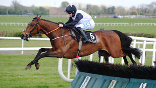 <p>Not Available looks worth waiting for in the last at Limerick. Picture: Healy Racing.</p>