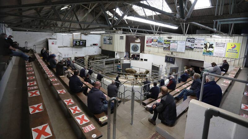 Finishers need every cent and are not in the mood for soft selling