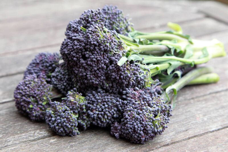 Broccoli is a nutrient-dense powerhouse. Picture: Alamy/PA Broccoli is a nutrient-dense powerhouse. Picture: Alamy/PA