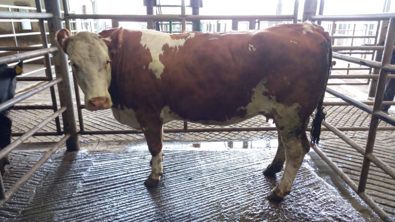​​​​​Marts Report: Farming needs less bureaucrats and more visionaries