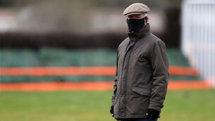 <p>Trainer Willie Mullins has strong claims in both divisions of the Tipperary Town Maiden Hurdle at Tipperary. Picture: Healy Racing</p>