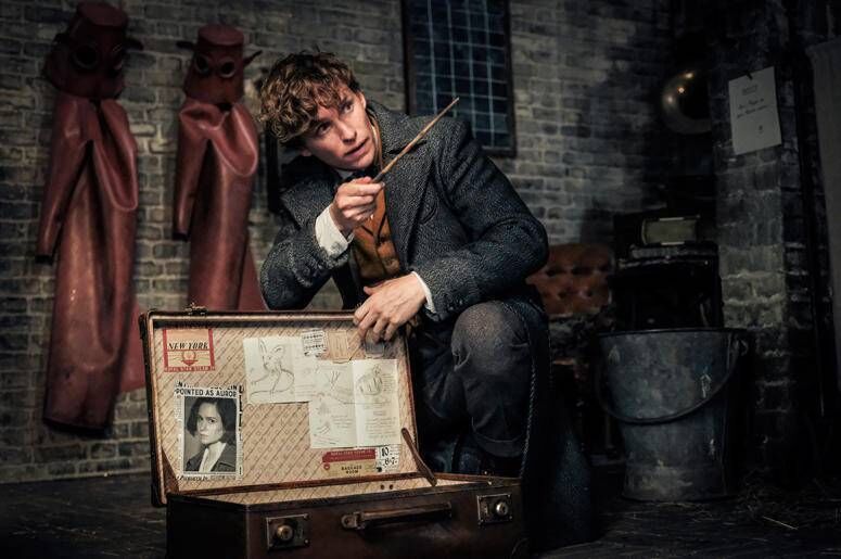 Fantastic Beasts: The Crimes Of Grindelwald