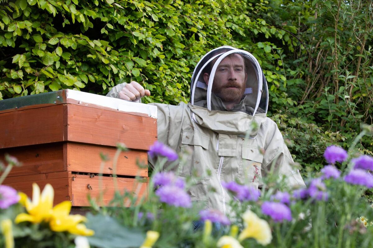 SeĢadna Mac Giolla Coda: 'Irish bee populations have been declining since 1980 as increased development has led to habitat loss.' Picture:Ā Darragh Kane SeĢadna Mac Giolla Coda: 'Irish bee populations have been declining since 1980 as increased development has led to habitat loss.' Picture:Ā Darragh Kane