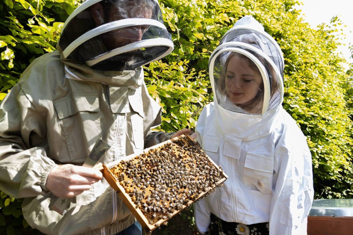 Horticultural therapist at Telus International Ireland, Ciara Parsons with fourth generation beekeeper and founder of An Beach Dubh, Séadna Mac Giolla Coda as two hives of up to 60,000 native Irish honey bees are introduced to the campus of TELUS International Ireland in Mahon, Cork for World Bee Day (20 May) as part of the company’s bid to protect local biodiversity. Picture:  Darragh Kane