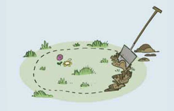 Working together for biodiversity: How to make a wetland area for Ireland's pollinators in your garden