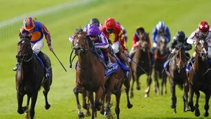 <p>CLASSIC CONTENDER: Wembley, far left, was just touched off by stablemate St Mark’s Basillica in the Dewhurst Stakes at Newmarket last October and a return to that form would make him a huge player in today’s Irish 2,000 Guineas at the Curragh. <span class="contextmenu emphasis CaptionCredit">Picture: Alan Crowhurst/Getty Images</span>
            </p>