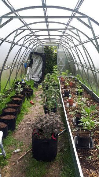 Gardaí have seized €76,800 worth of cannabis and arrested a man in his 40s following a search of a property in Co. Roscommon this morning. Gardaí have seized €76,800 worth of cannabis and arrested a man in his 40s following a search of a property in Co. Roscommon this morning.