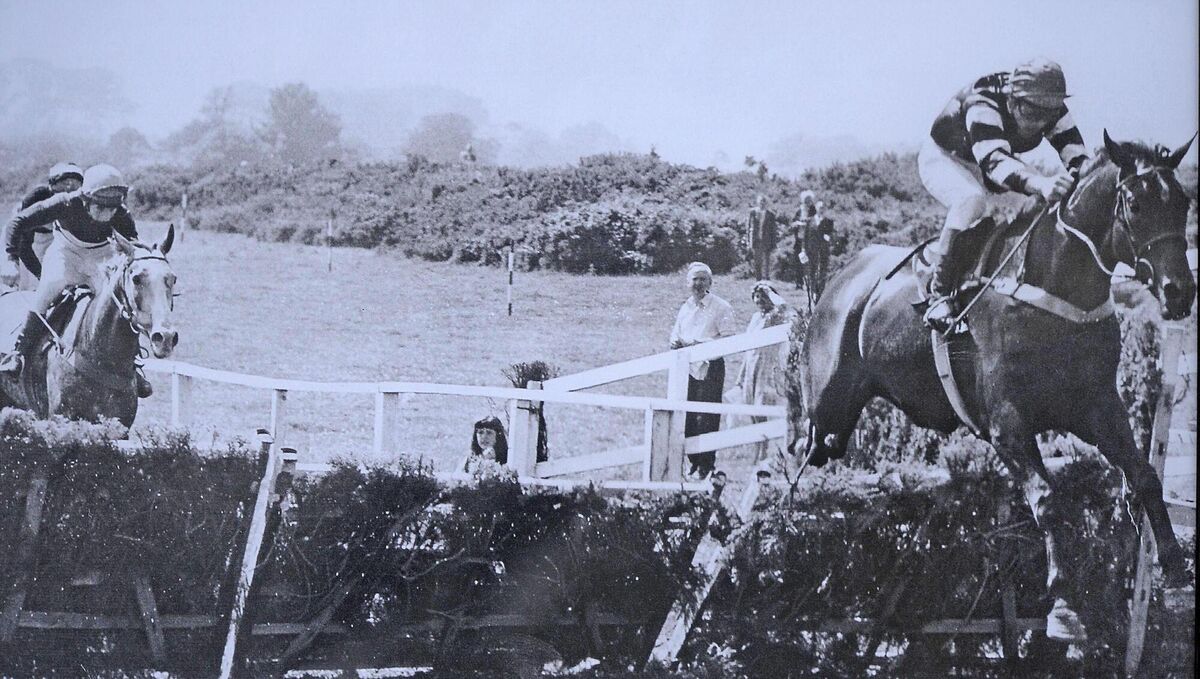 YELLOW SAM and Mick Furlong over the last hurdle to win and land a huge gamble for Barney Curley.