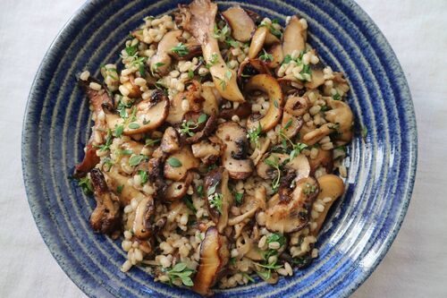 Pearl Barley with wild mushrooms