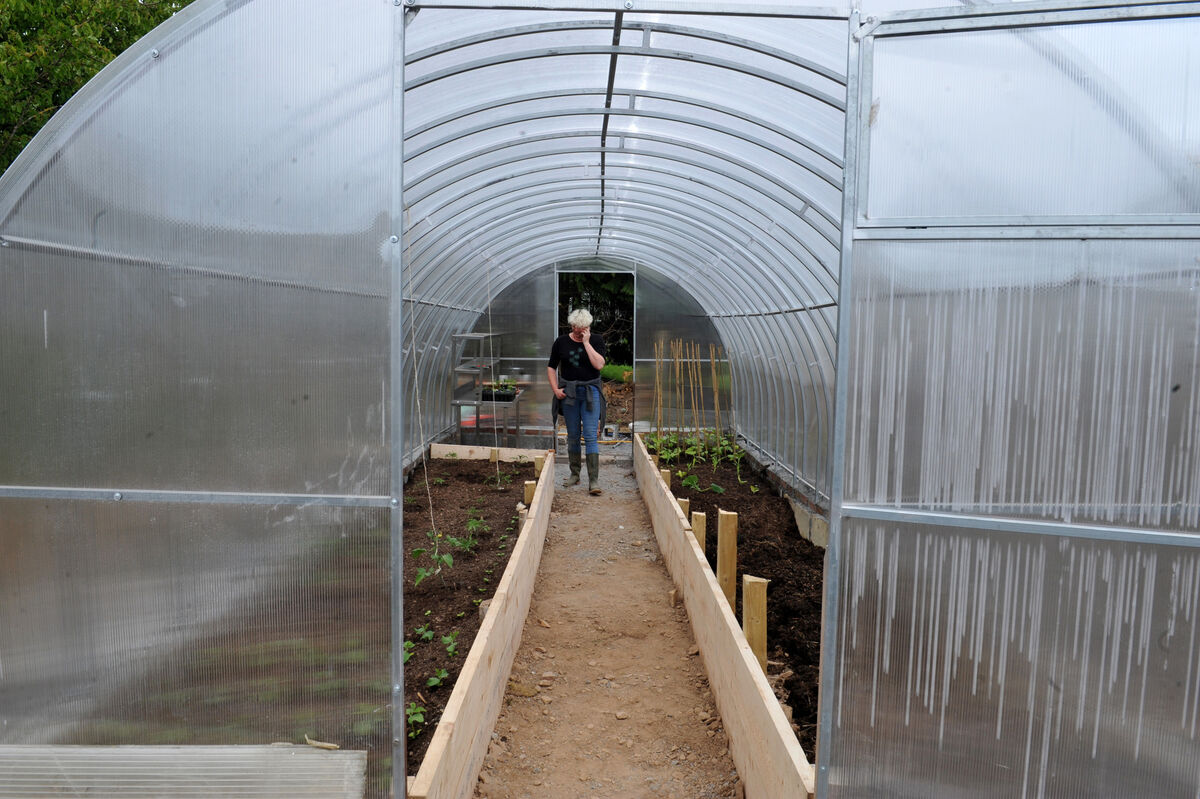 Ellie O'Byrne's polytunnel: more plastic for less plastic?