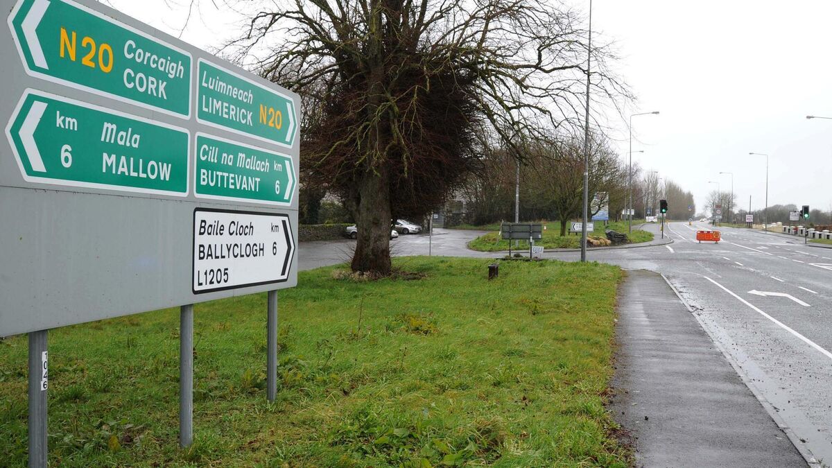 Cork-Limerick road's high fatality rate highlighted - Vimarsana News