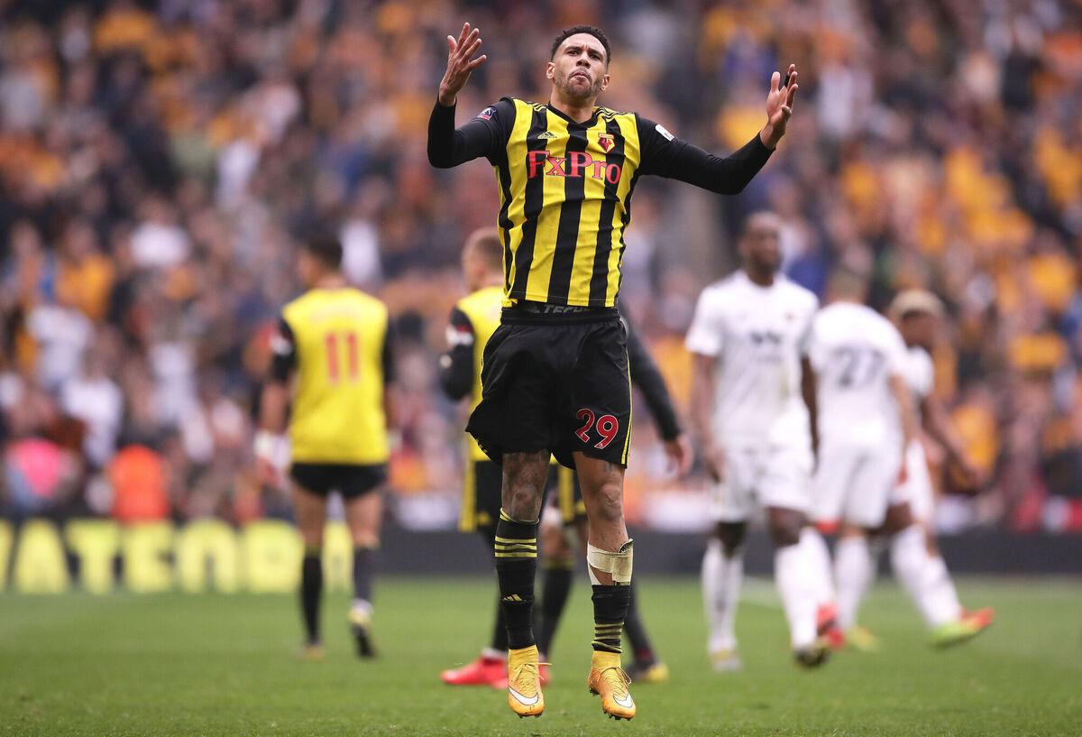 Former Watford man Etienne Capoue. Picture: John Walton