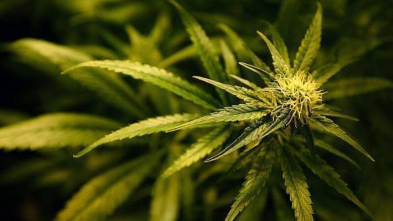 Man arrested after Dublin drug seizure Man arrested after Dublin drug seizure
