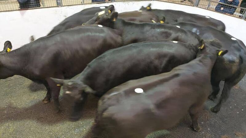 Time to cast the mind back to calving season...