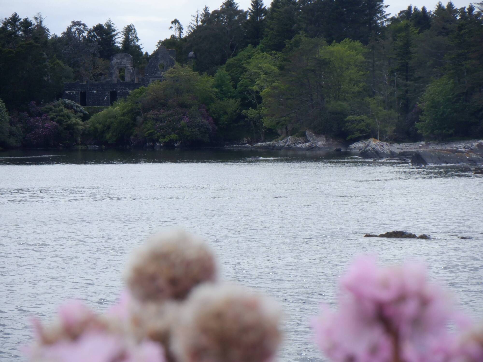 Islands of Ireland: Seen and heard on Rossdohan