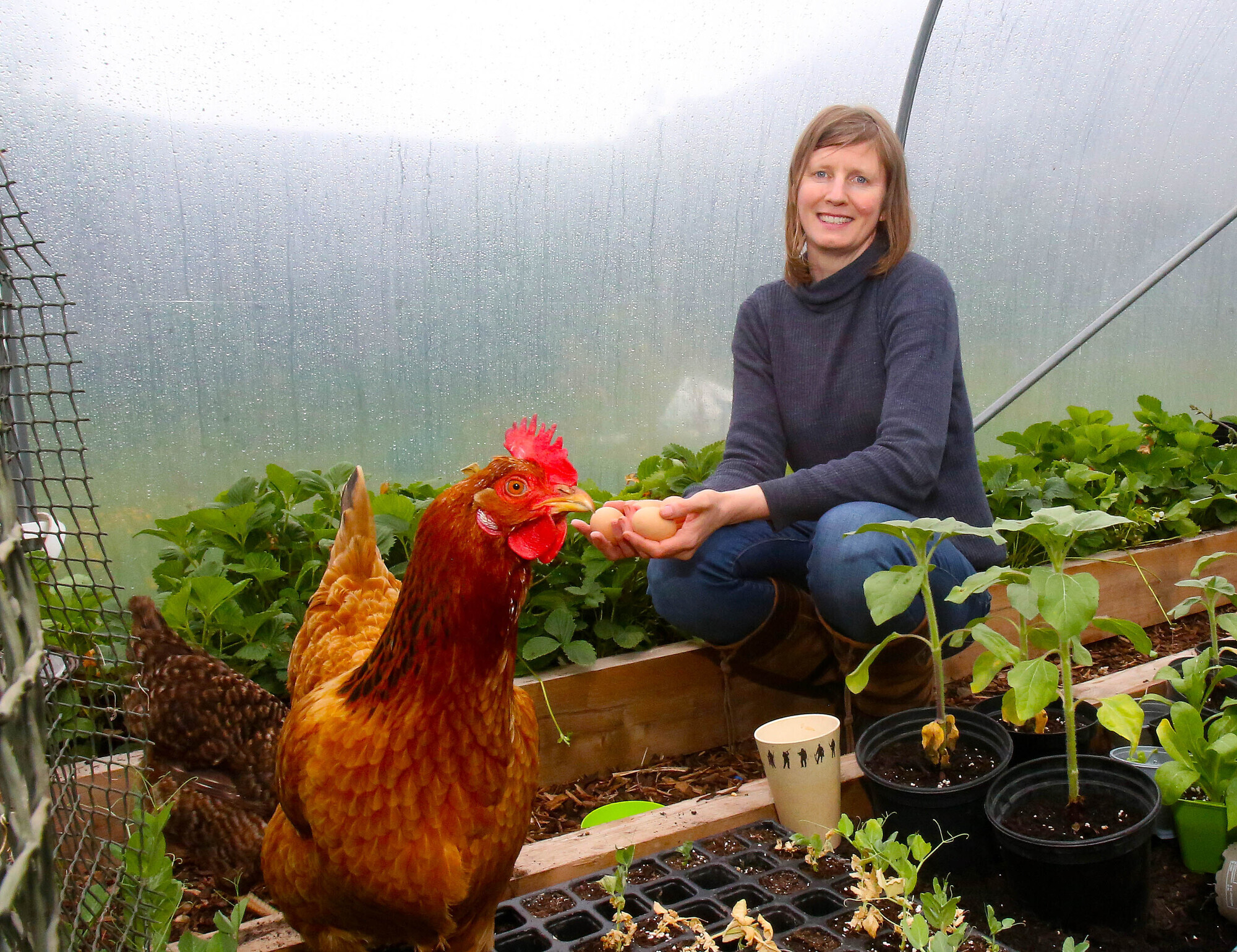 Scientist's secret to sustainable living? One small change a day 