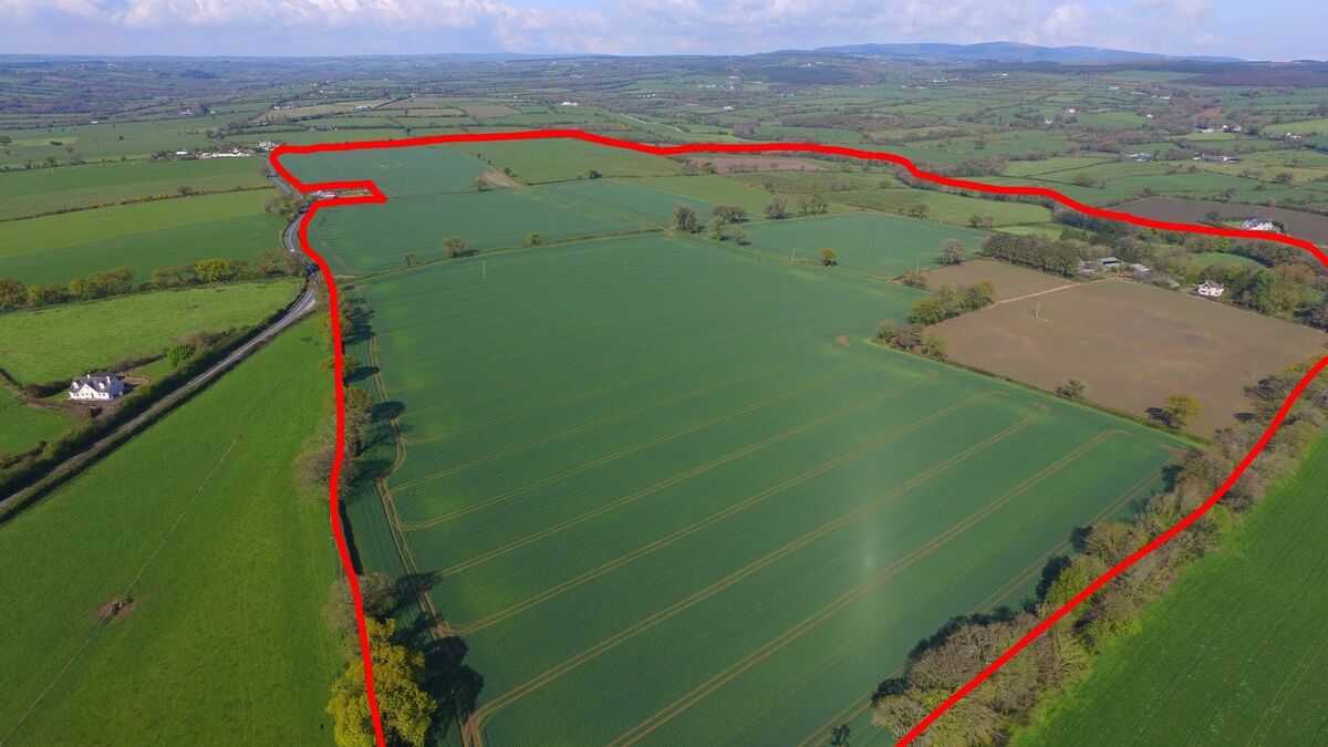 €2m guide price for 165 acre farm near Cork's  Rathcormac - Vimarsana News